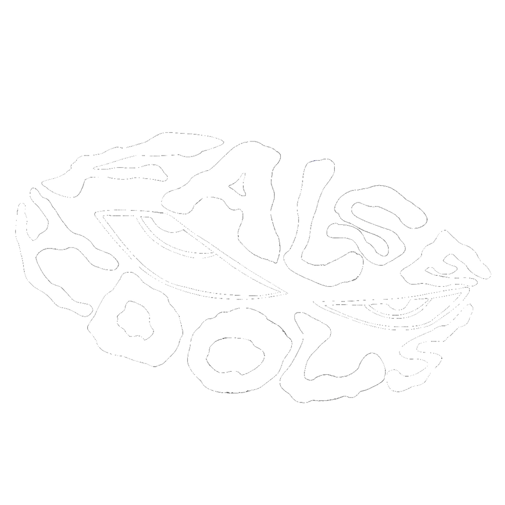FALSE IDOLS
