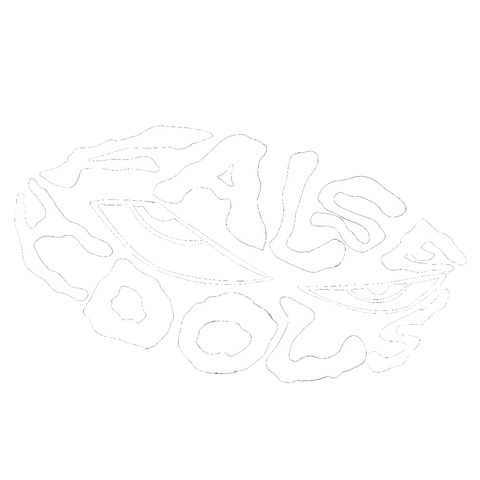 FALSE IDOLS™
